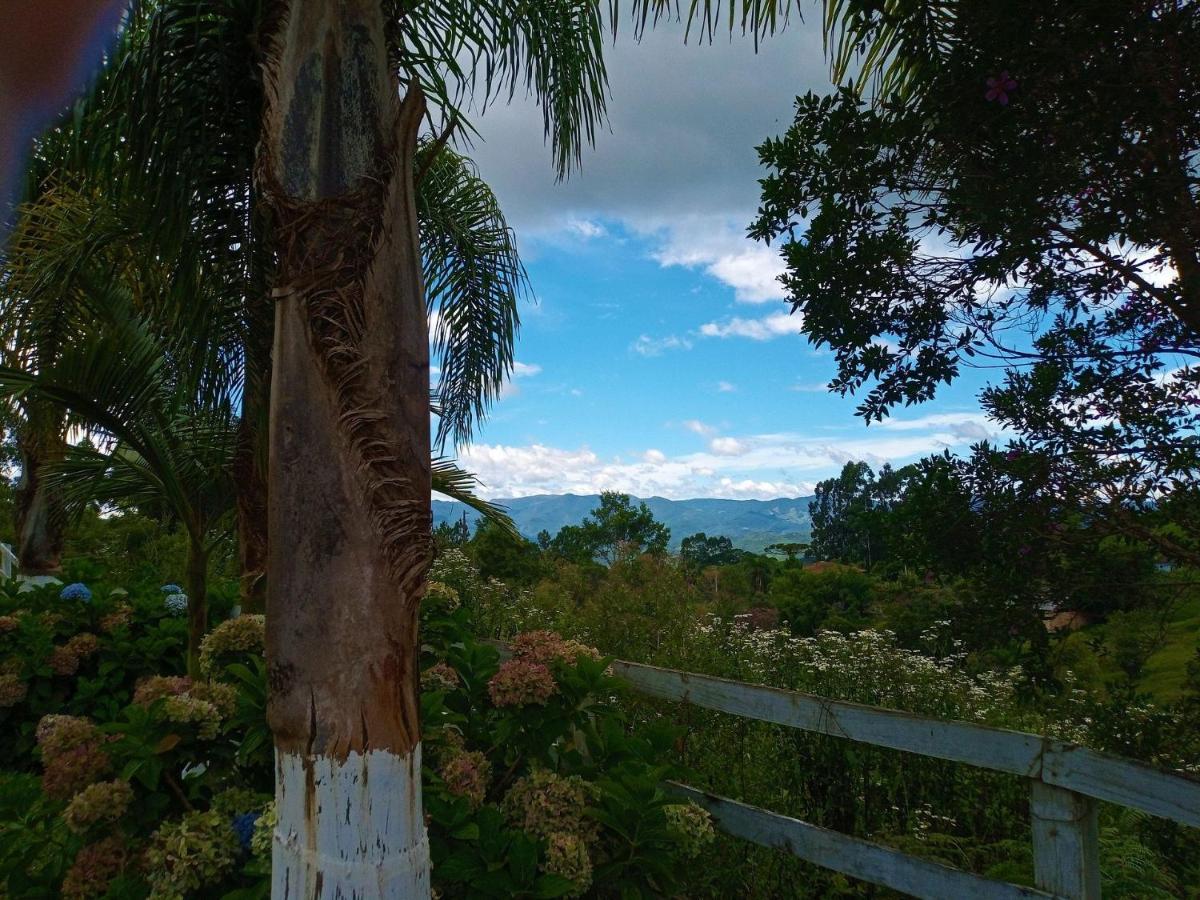 Sitio Pedacinho Do Ceu Na Serra Catarinense Rancho Queimado Eksteriør billede